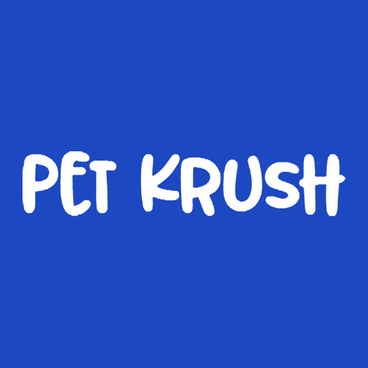 Advancements in Pet Longevity Research: How Science is Extending Your Pet’s Lifespan