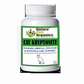 Dog And Cat Kryptonite Adrenal, Thyroid, Pituitary & Hypothalamic Support*