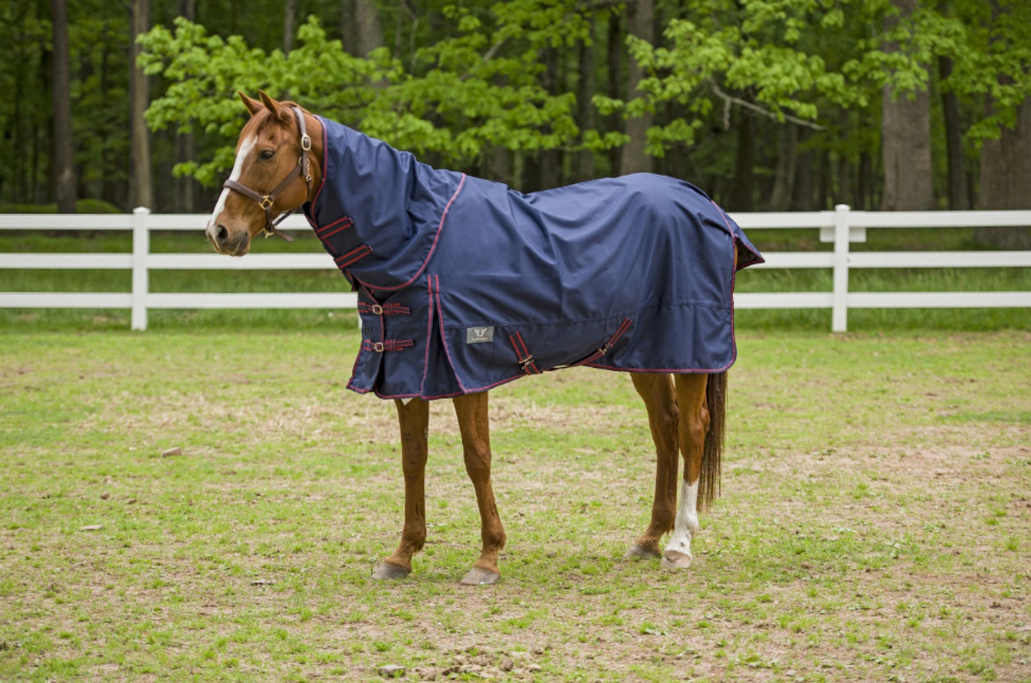 TuffRider 1200D Winter Comfy Detachable Neck Sheet