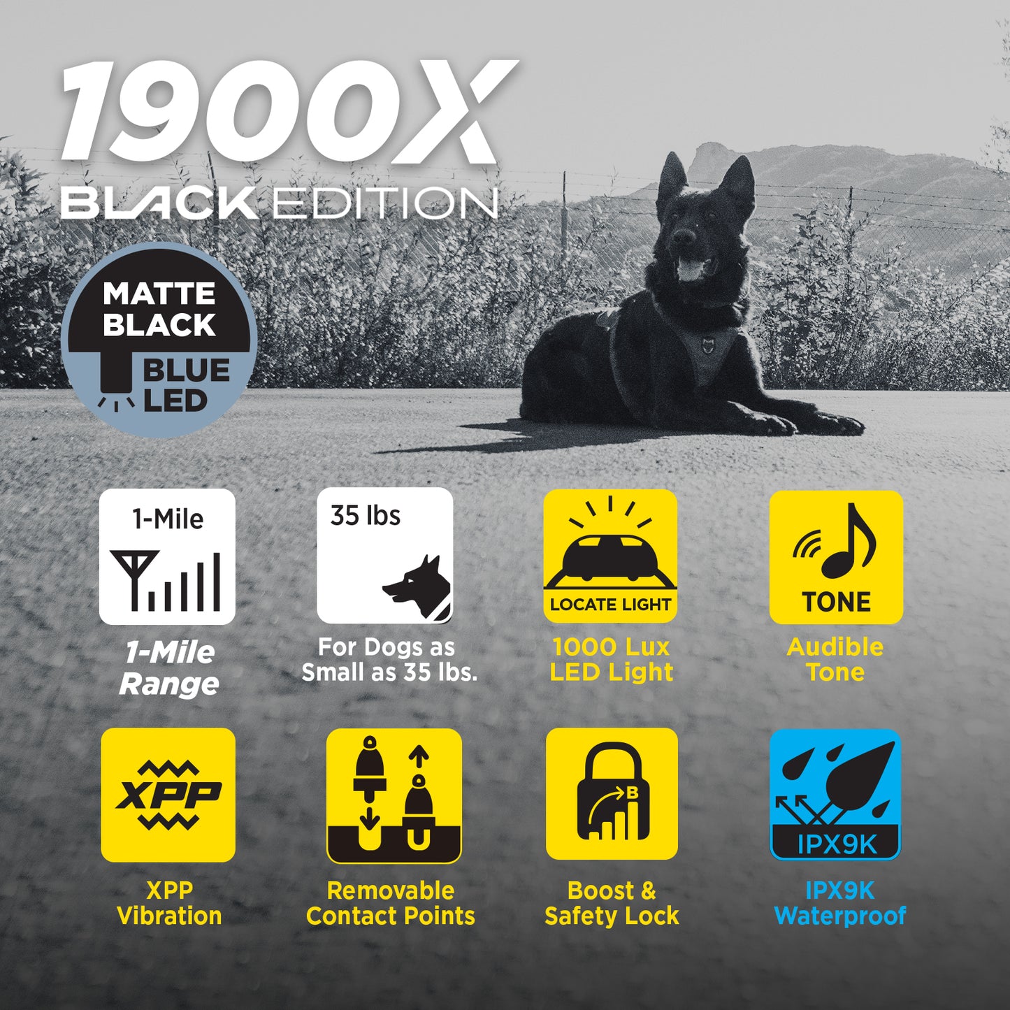1900X BLACK EDITION 1-DOG UNIT