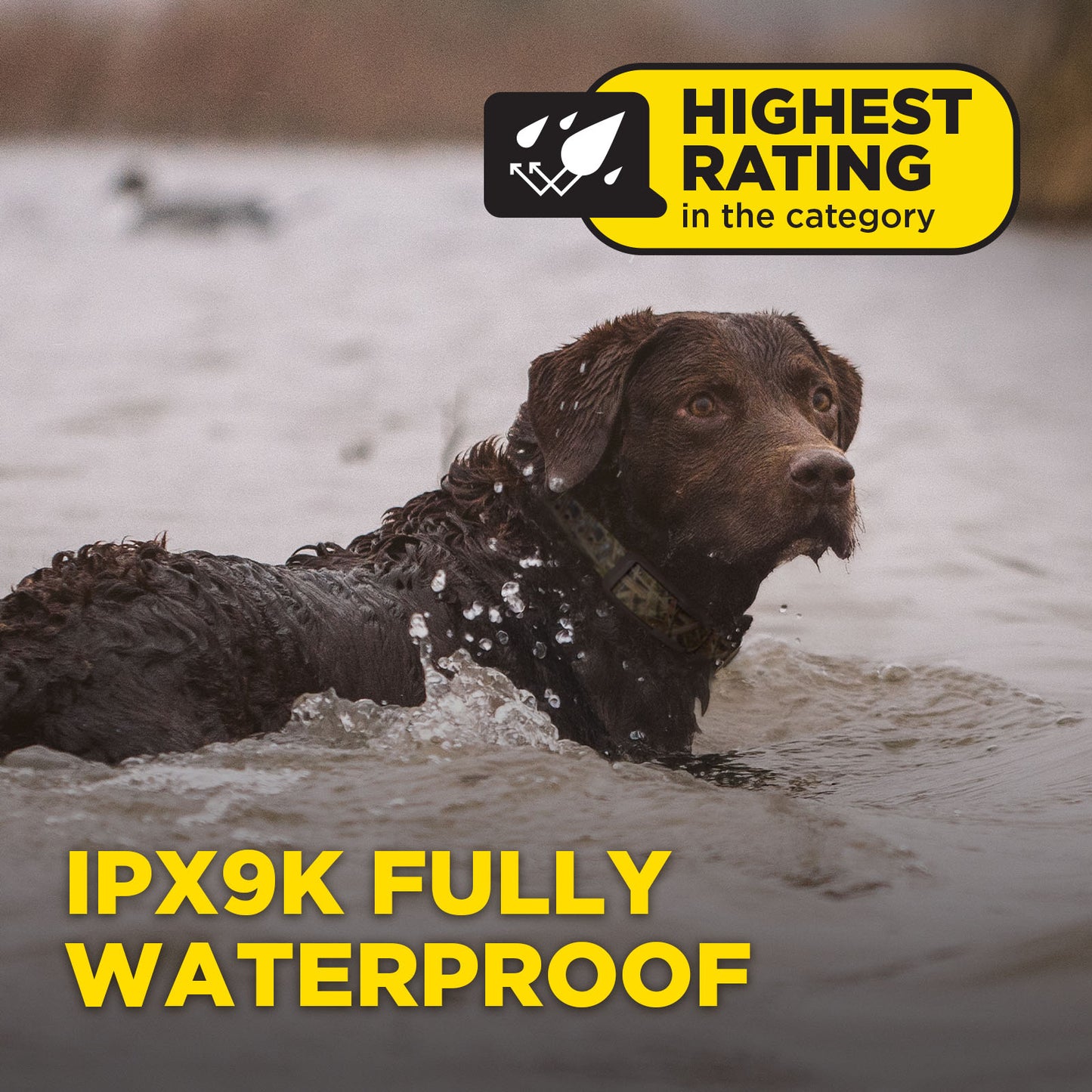 1900X CAMOUFLAGE 1-DOG UNIT