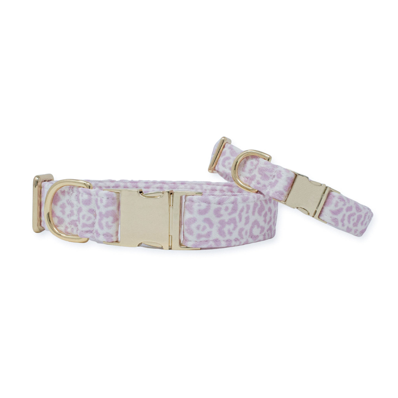 French Lavender Rosette Classic Dog Collar - Delete