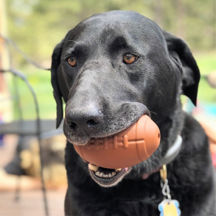 MKB Football Durable Rubber Chew Toy and Treat Dispenser