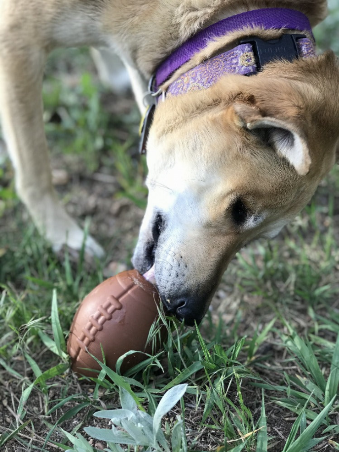 MKB Football Durable Rubber Chew Toy and Treat Dispenser