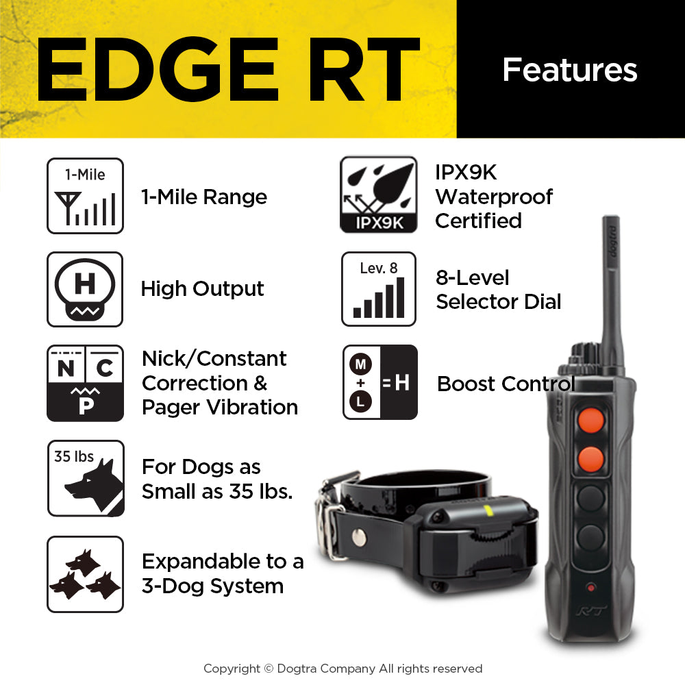 EDGE RT