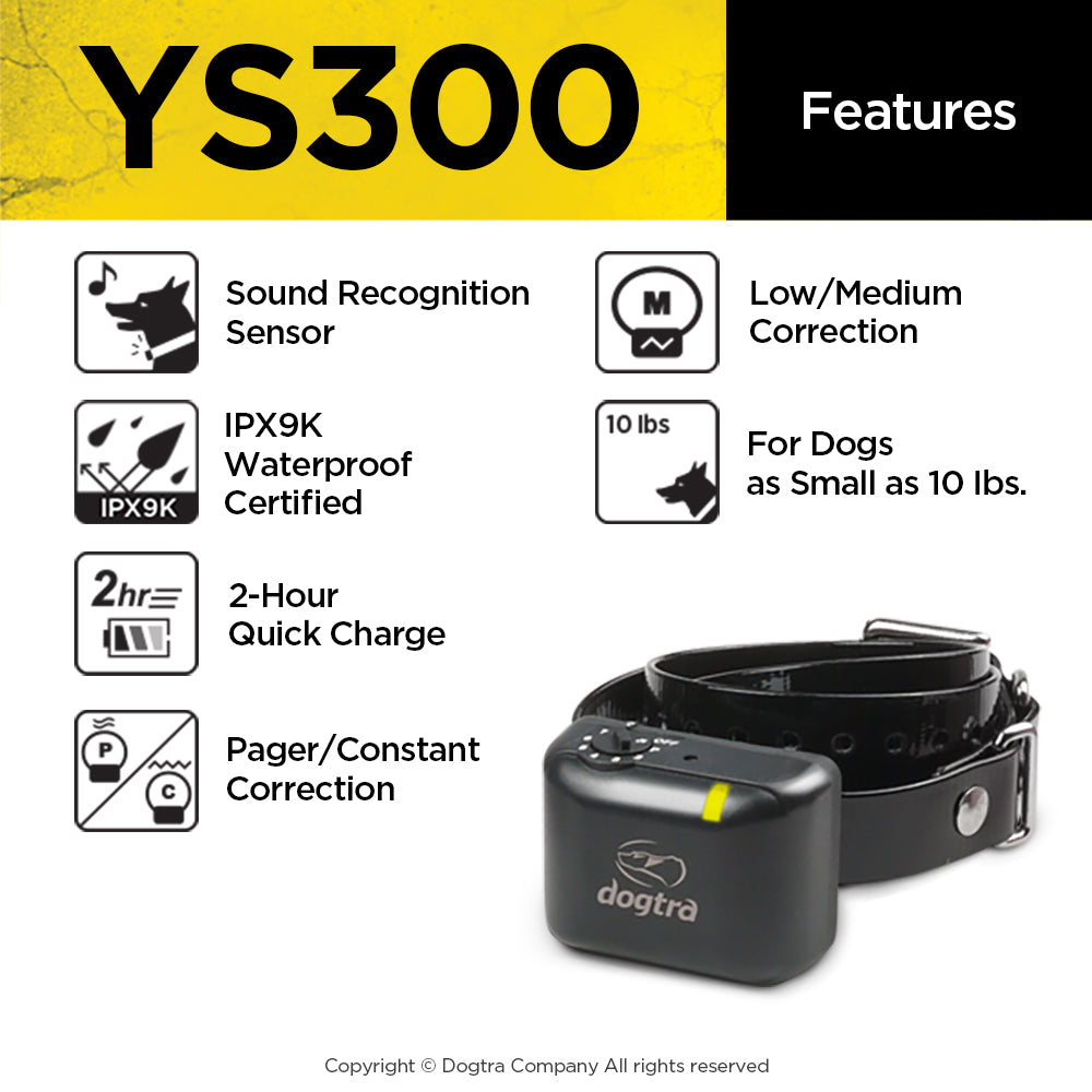 YS300