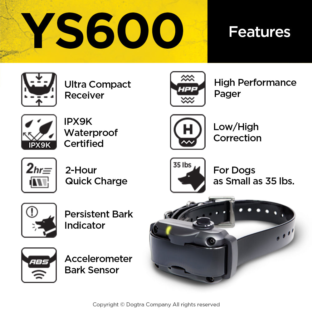 YS600