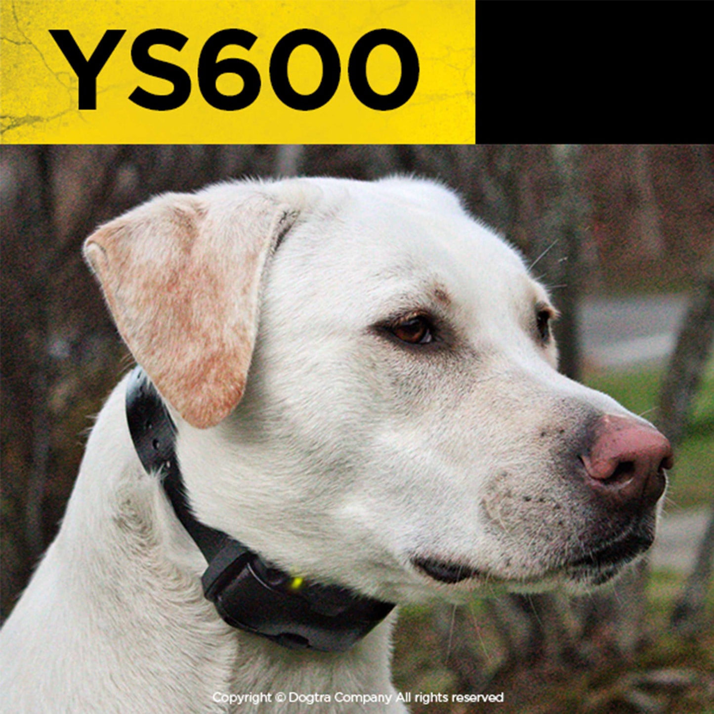YS600