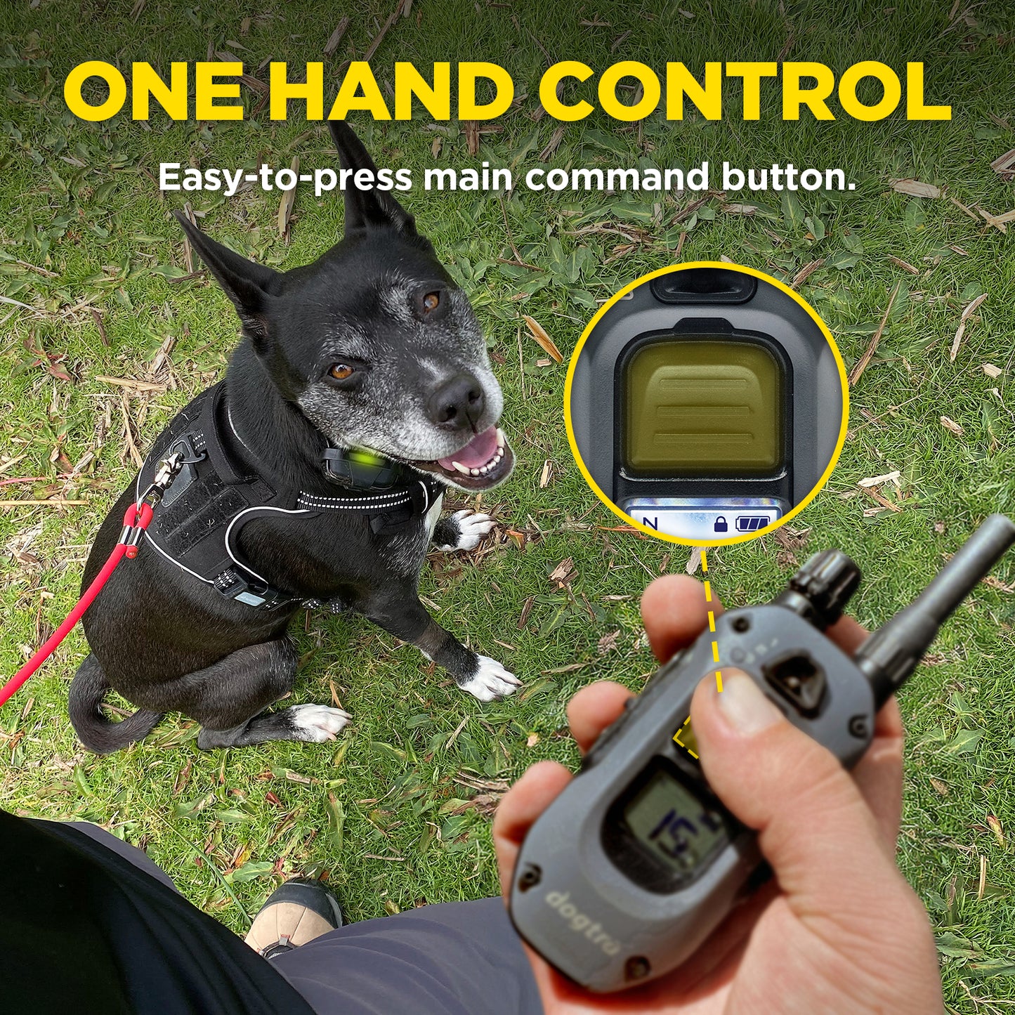 280X 2-DOG UNIT