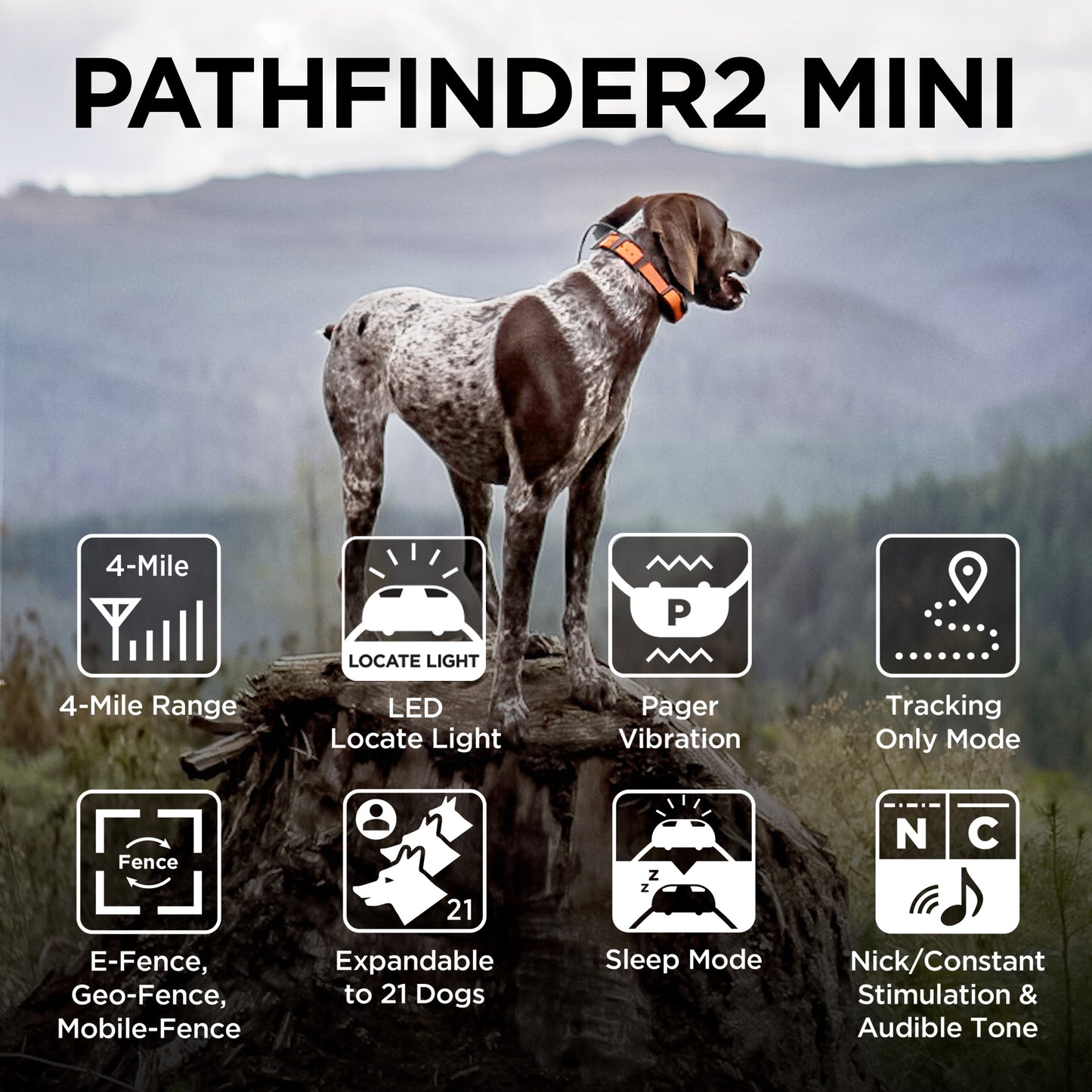 PATHFINDER2 MINI