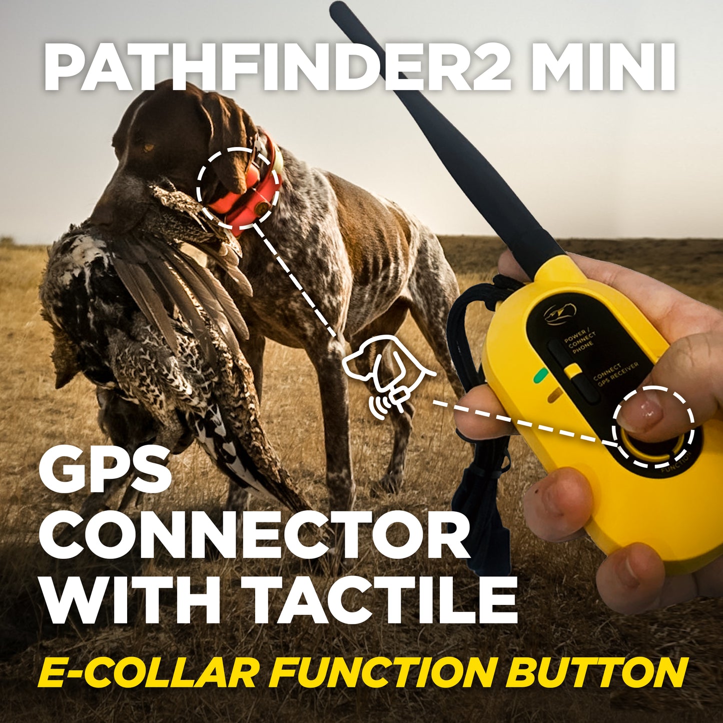 PATHFINDER2 MINI