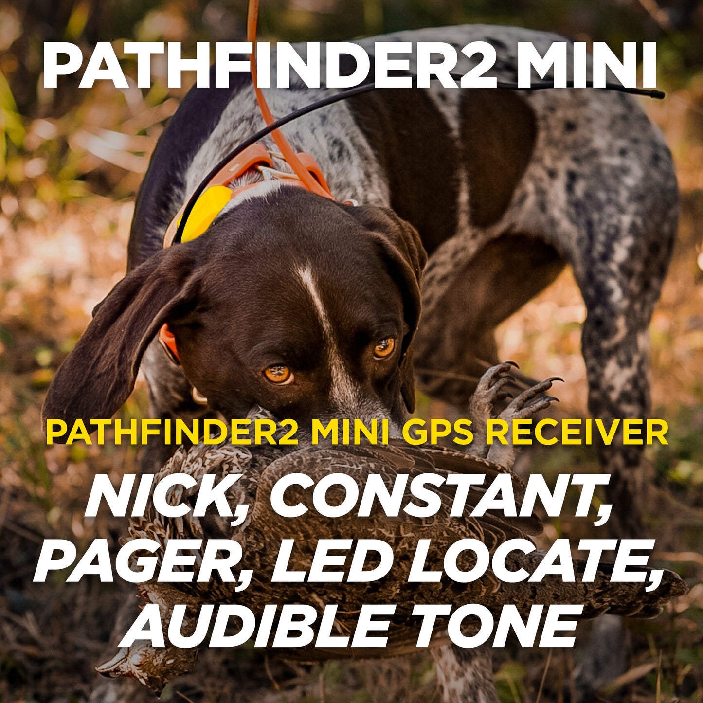 PATHFINDER2 MINI
