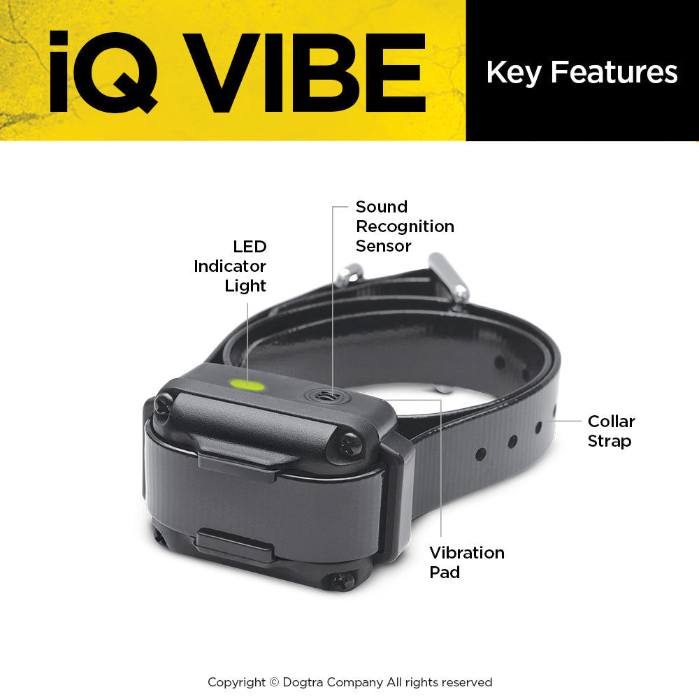 iQ VIBE