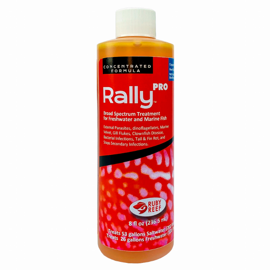 Rally PRO