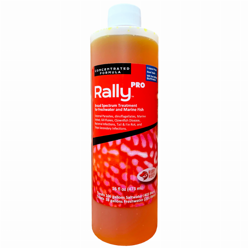 Rally PRO