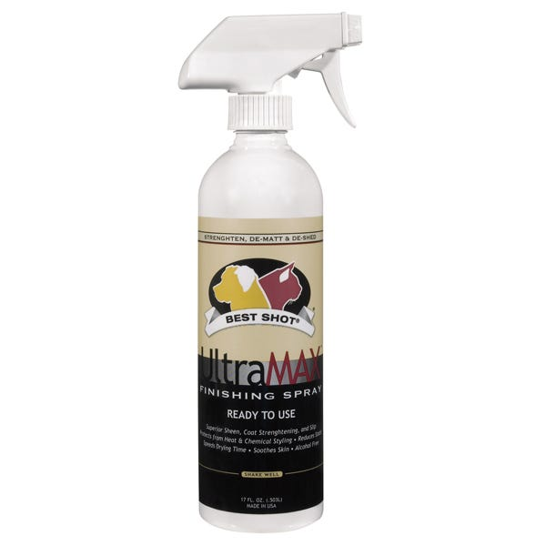 BT UltraMax Pro Finish Spray