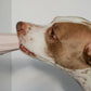 The Ubbe - Treat Filler Chew Toy Made for Easy Cleaning