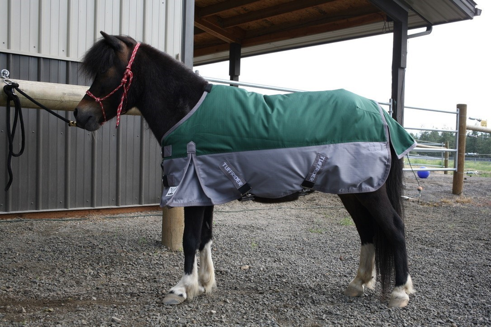 TuffRider Mini 1200D Ripstop Medium Weight 200gms Two Tone Turnout Blanket With Standard Neck