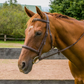 Henri de Rivel Kushy Raised Fancy Stitched Bridle