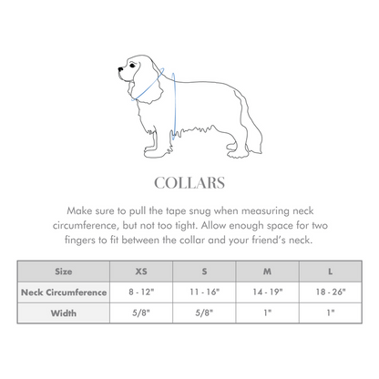 French Lavender Rosette Classic Dog Collar