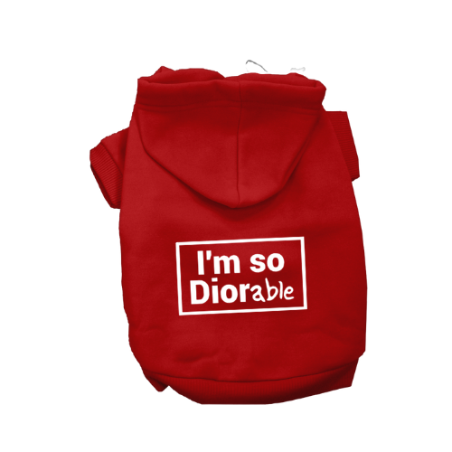 DIOR-able Hoodie