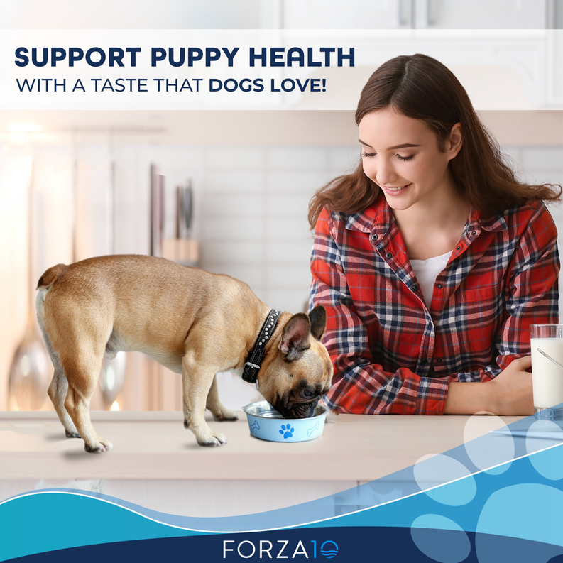 Forza10 Active Puppy Chondro Diet Dry Dog Food