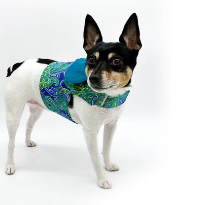 DCNY "Pretty in Paisley" Vest-Style Harness