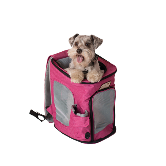 Armarkat PC301P Pets Backpack Pet Carrier In Pk and Gy Combo