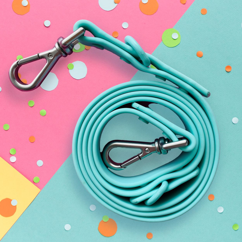 "Bark Bark Bitch" Aqua Leash