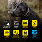 1900X 2-DOG UNIT