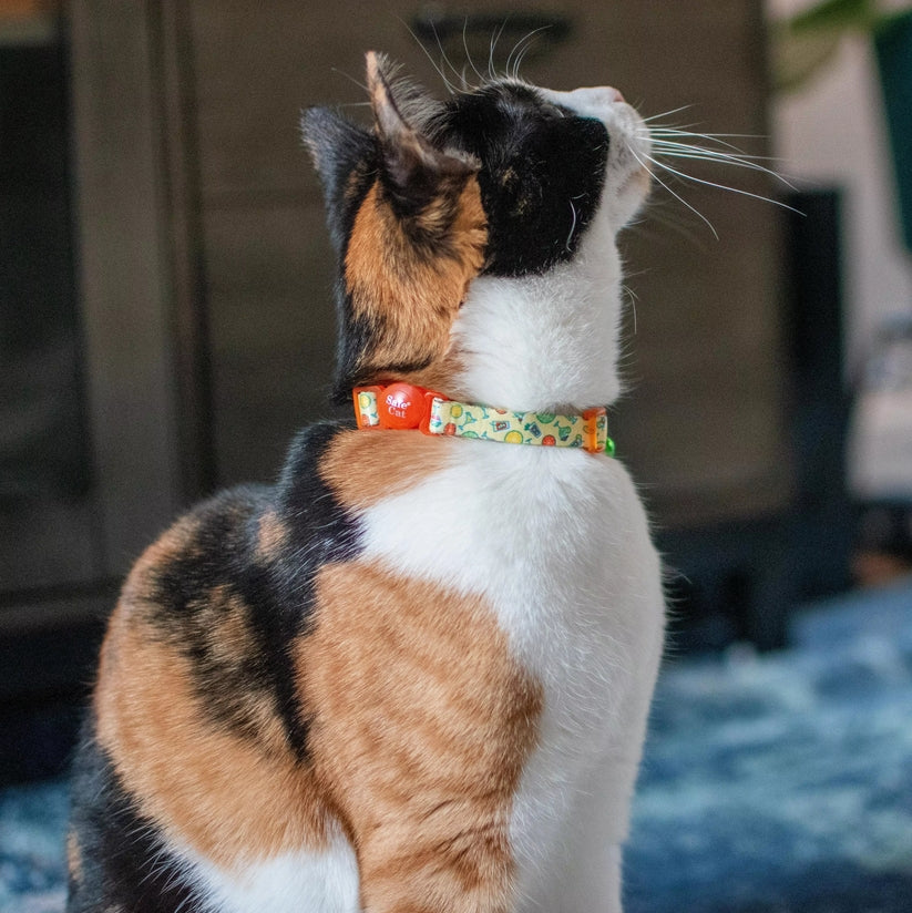 Coastal Pet Safe Cat Adjustable Breakaway Collar Wildflower