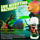 Fritz Aquatics Zyme 7 Live Nitrifying Bacteria