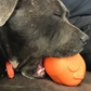 MKB Roasted Turkey Durable Rubber Chew Toy & Treat Dispenser