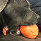 MKB Roasted Turkey Durable Rubber Chew Toy & Treat Dispenser