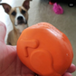 MKB Roasted Turkey Durable Rubber Chew Toy & Treat Dispenser