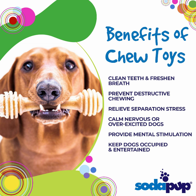 SP Honey Bone Ultra Durable Nylon Dog Chew Toy for Aggressive Chewers