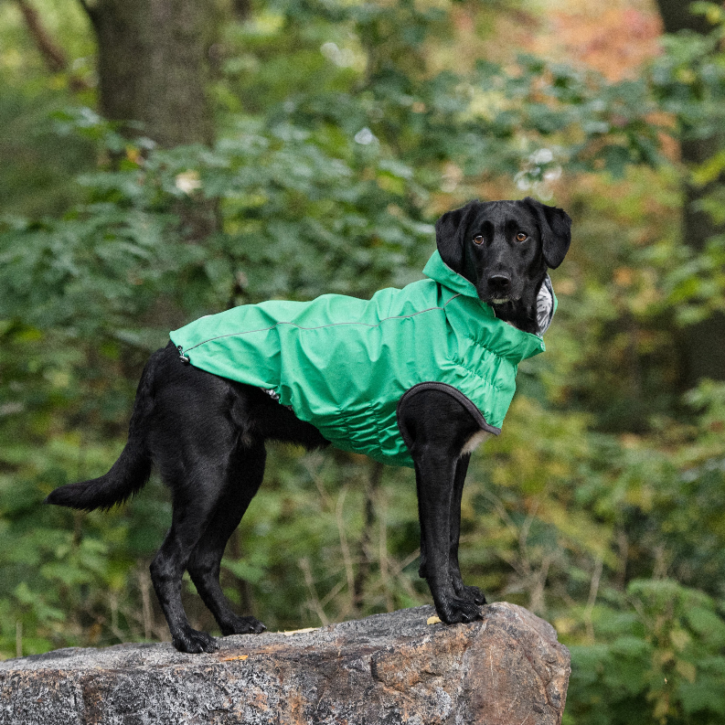 GF Pet Reversible ElastoFit Raincoat