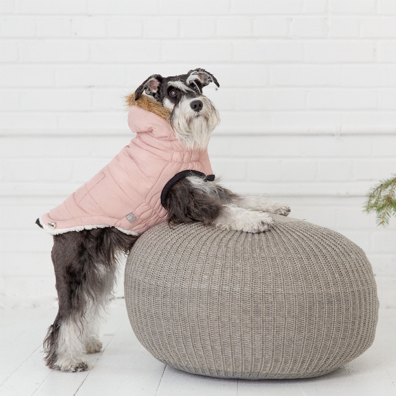 GF Pet ElastoFit Urban Dog Parka