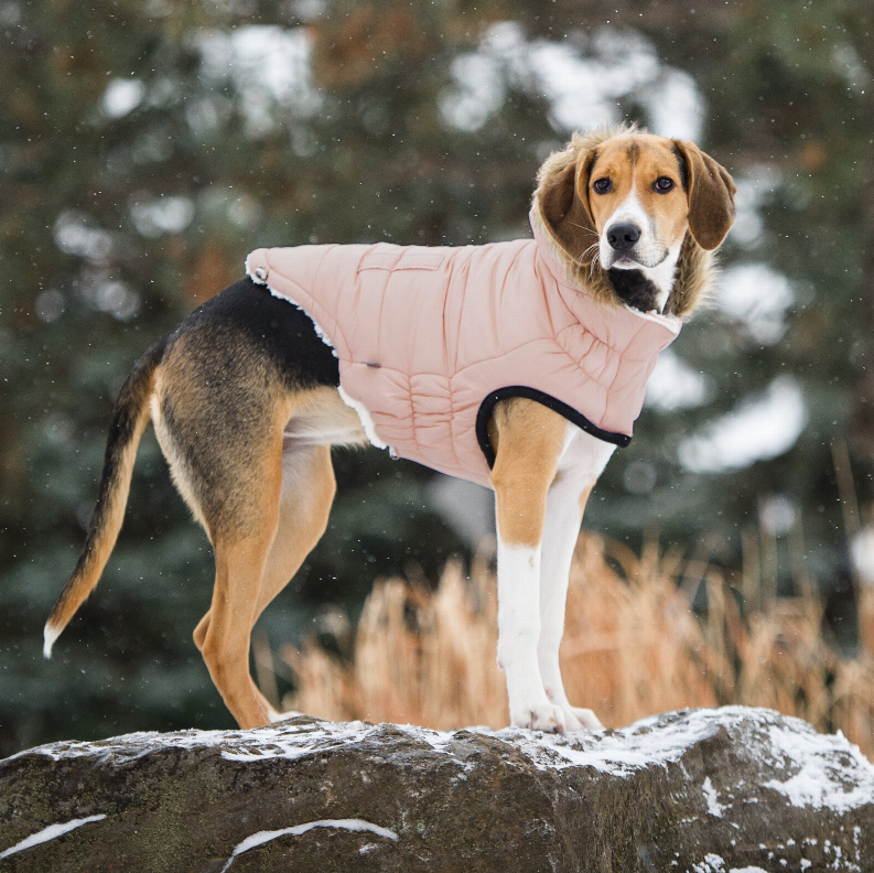 GF Pet ElastoFit Urban Dog Parka