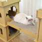 London Bridge Cat House