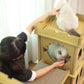 London Bridge Cat House