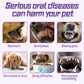 Pet Tongue Brush Toothbrush Set, Pet Oral Cleaning, Tooth Stains, Dental Care