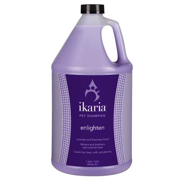 IK Shampoo Comfort Gallon