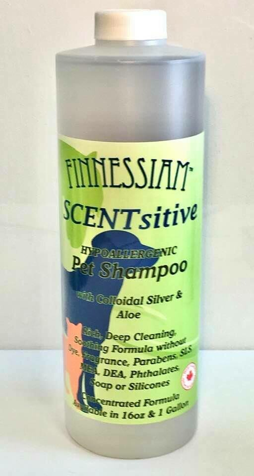 SCENTsitive Shampoo