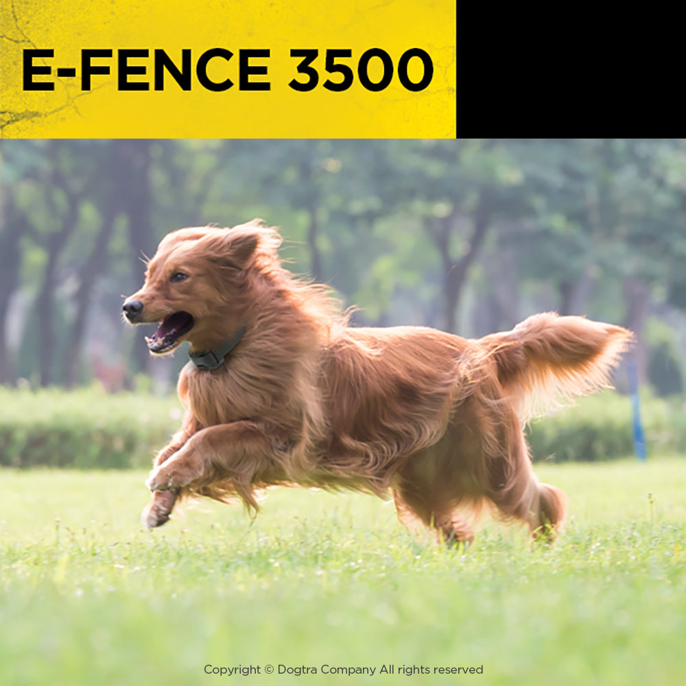 EF3500