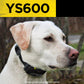 YS600