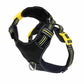 DOOG Neotech Dog Harness Bolt Small Black/Yellow