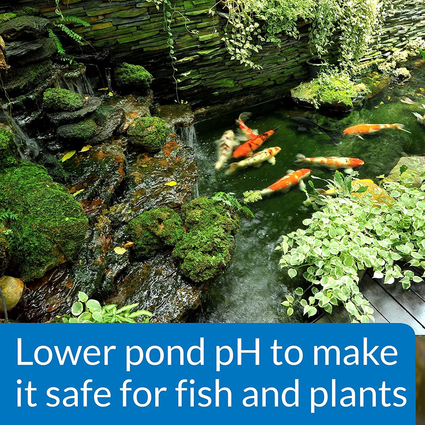 API Pond pH Down Lowers Pod Water pH Safe for Fish and Plants