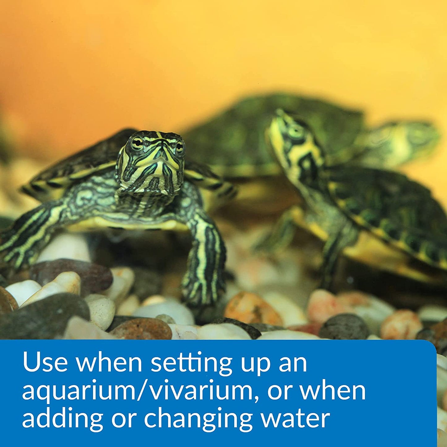 API Turtle Water Conditioner Makes Tap Water Safe