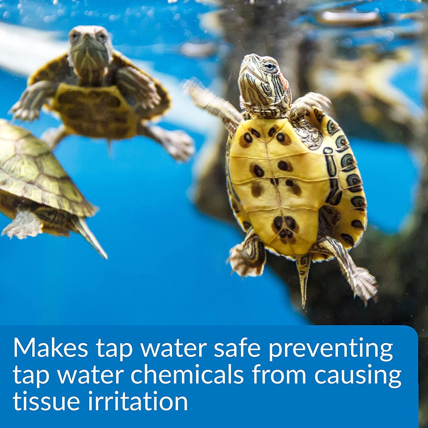 API Turtle Water Conditioner Makes Tap Water Safe